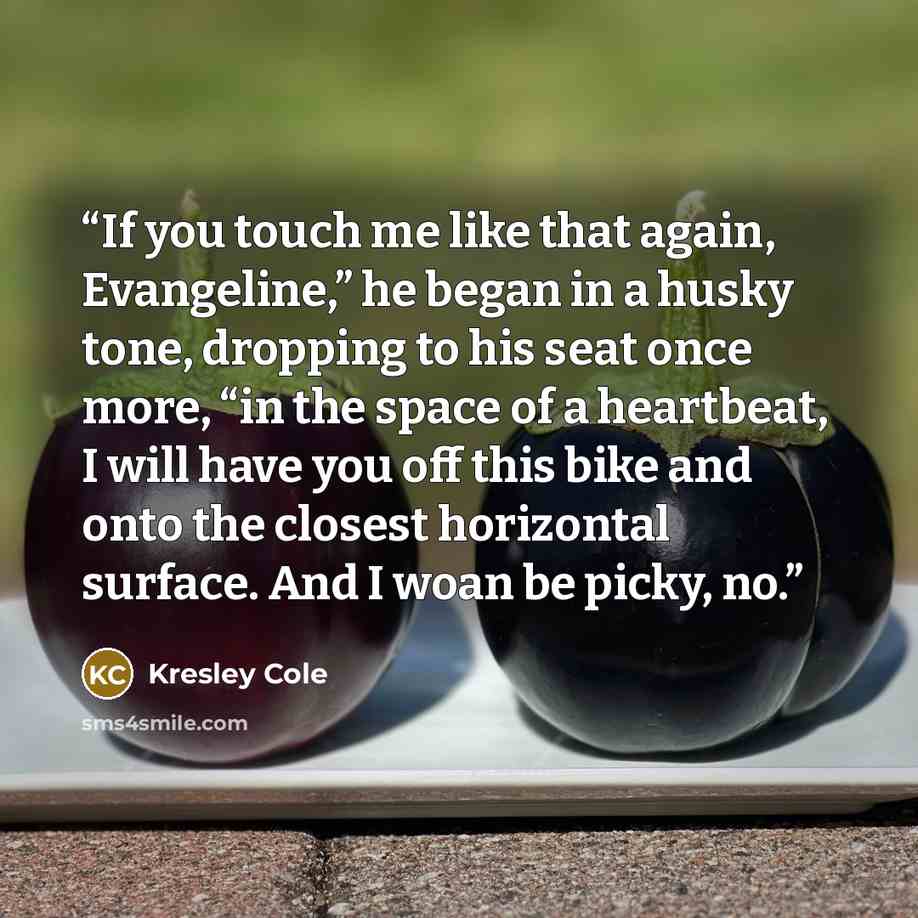 “If you touch me like that again, Evangeline,” he began in a husky tone, dropping to his seat once more, “in the space of a heartbeat, I will have you off this bike and onto the closest horizontal surface. And I woan be picky, no.” quote by Kresley Cole