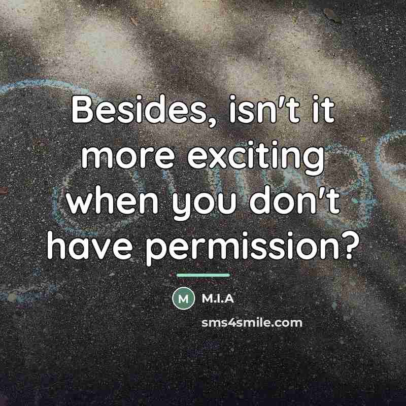 “Besides, isn't it more exciting when you don't have permission?…” quote by M.I.A