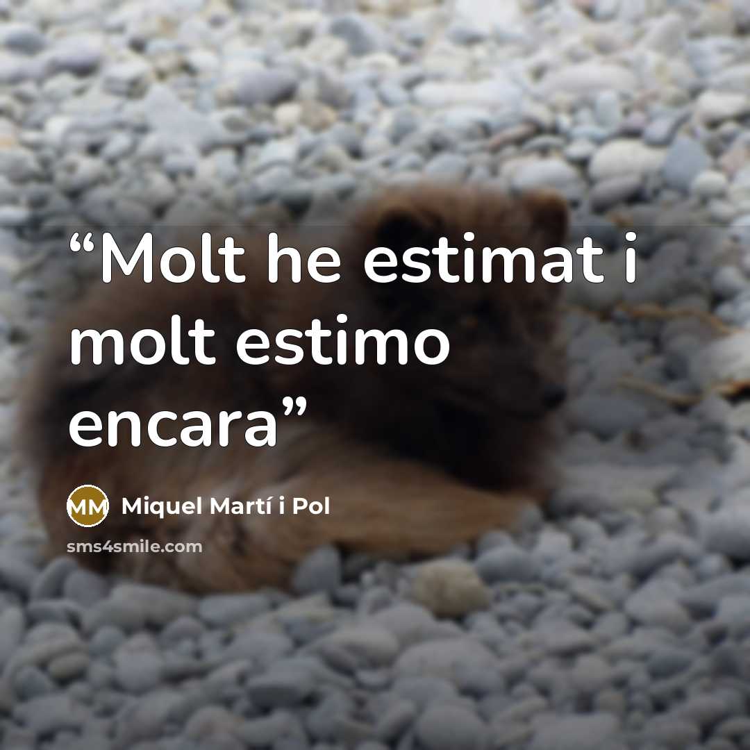 “Molt he estimat i molt estimo encara” quote by Miquel Martí i Pol