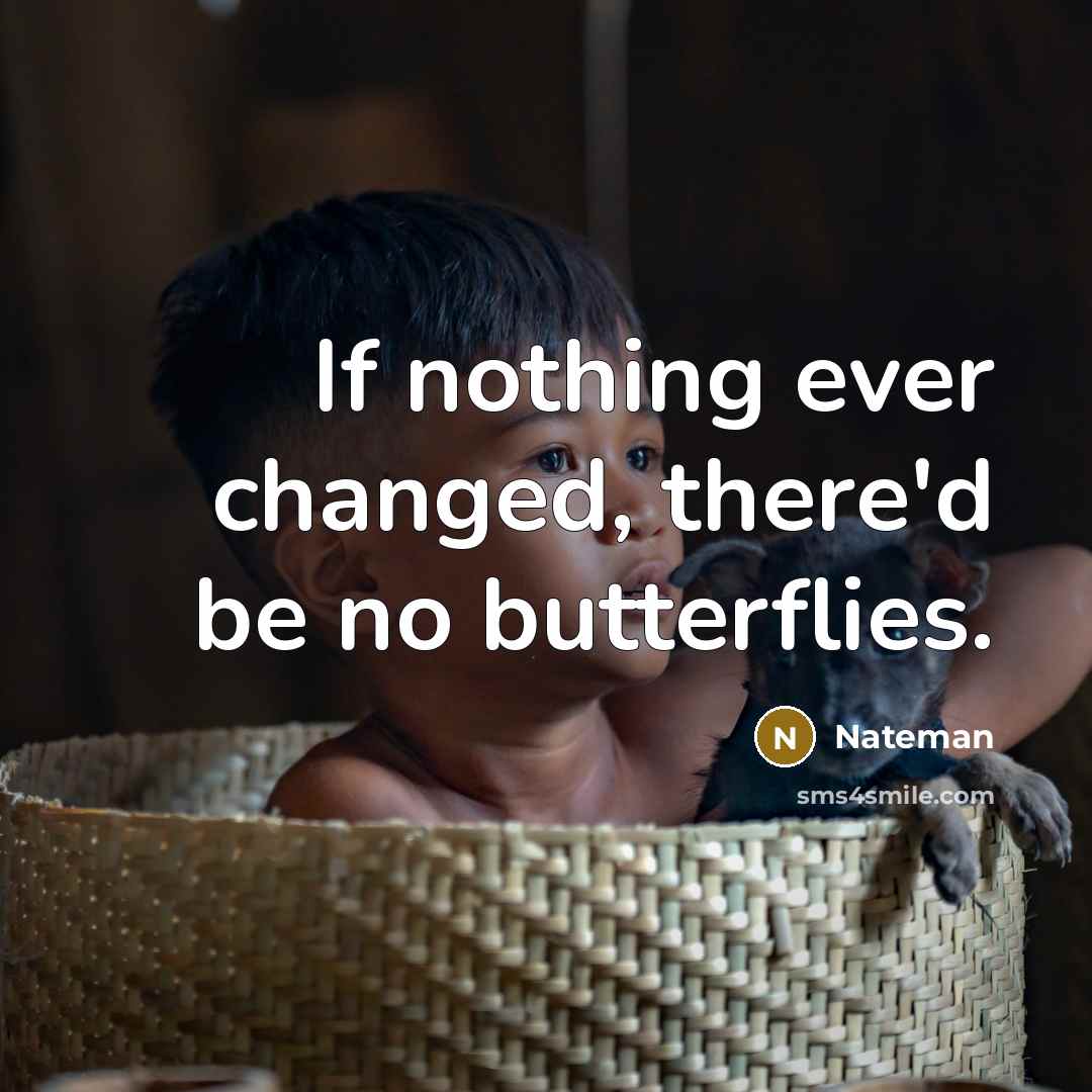 “If nothing ever changed, there'd be no butterflies.…” quote by Nateman