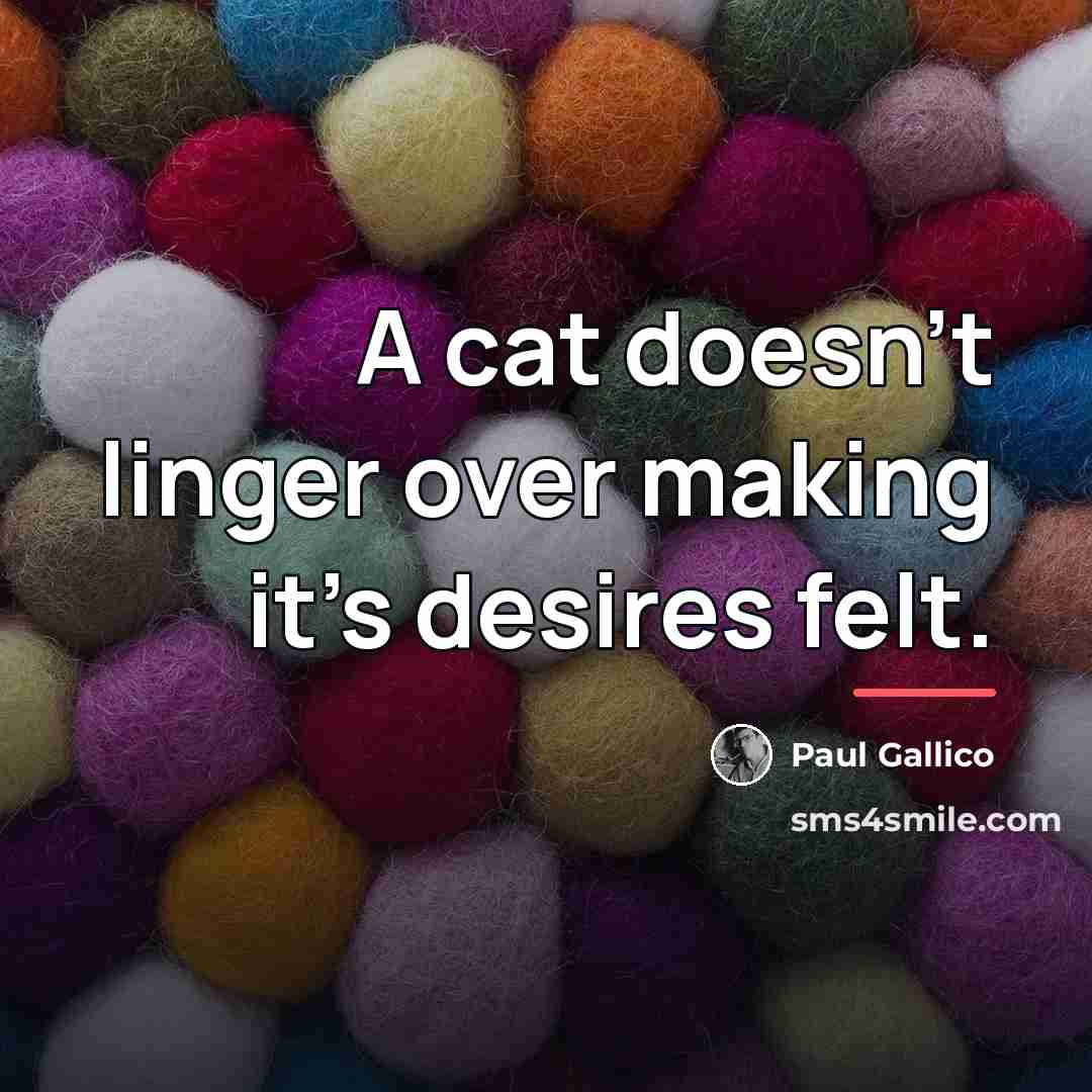 “A cat doesn't linger over making it's desires felt.…” quote by Paul Gallico