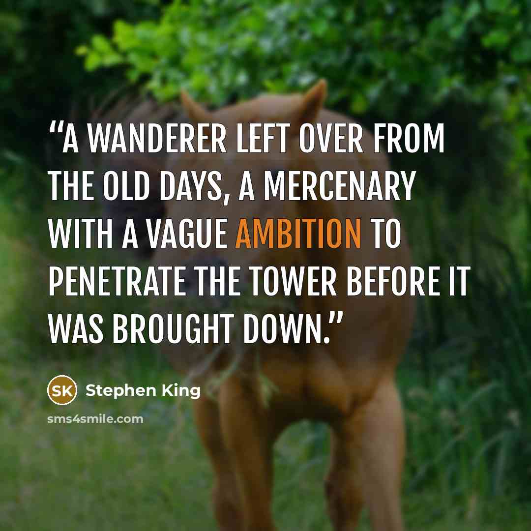 “A wanderer left over from the old days, a mercenary with a vague ambition to penetrate the Tower before it was brought down.” quote by Stephen King