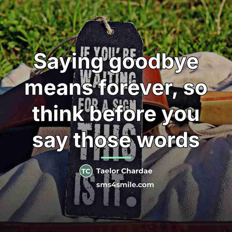 “Saying goodbye means forever, so think before you say those…” quote by Taelor Chardae