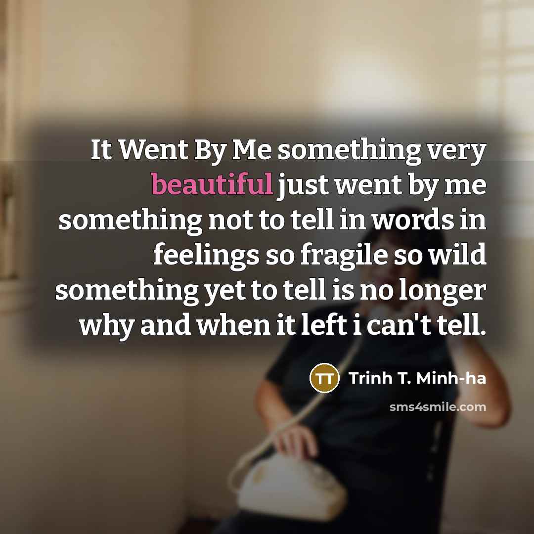 “It Went By Me something very beautiful just went by…” quote by Trinh T. Minh-ha