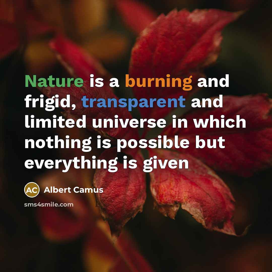 “Nature is a burning and frigid, transparent and limited universe…” quote by Albert Camus