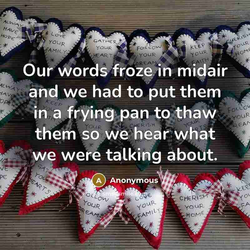 “Our words froze in midair and we had to put…” quote by Anonymous