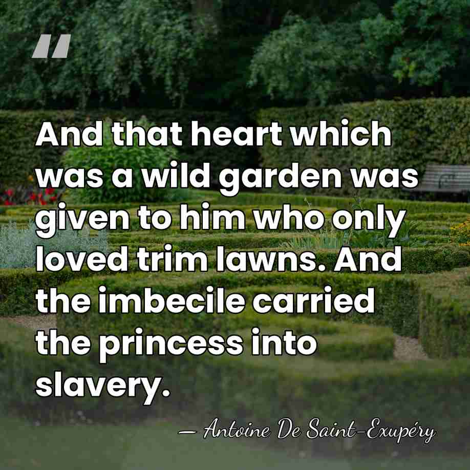 And that heart which was a wild garden was given to him&hellip; - Antoine De Saint-Exupéry