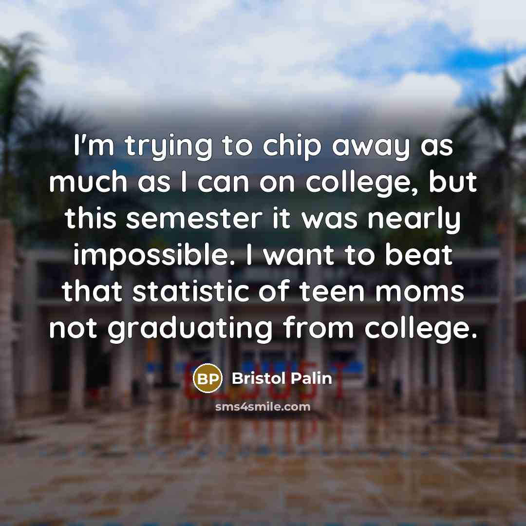 “I'm trying to chip away as much as I can…” quote by Bristol Palin