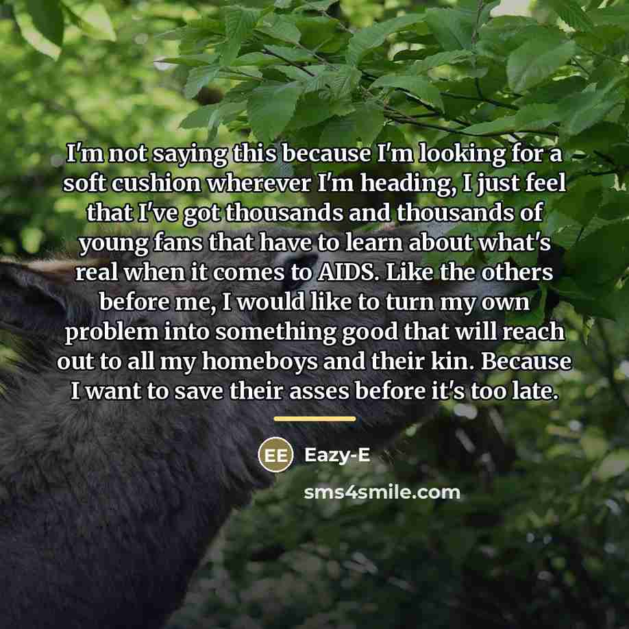 “I'm not saying this because I'm looking for a soft…” quote by Eazy-E