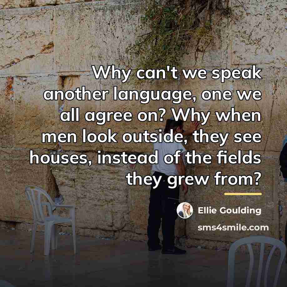 “Why can't we speak another language, one we all agree…” quote by Ellie Goulding