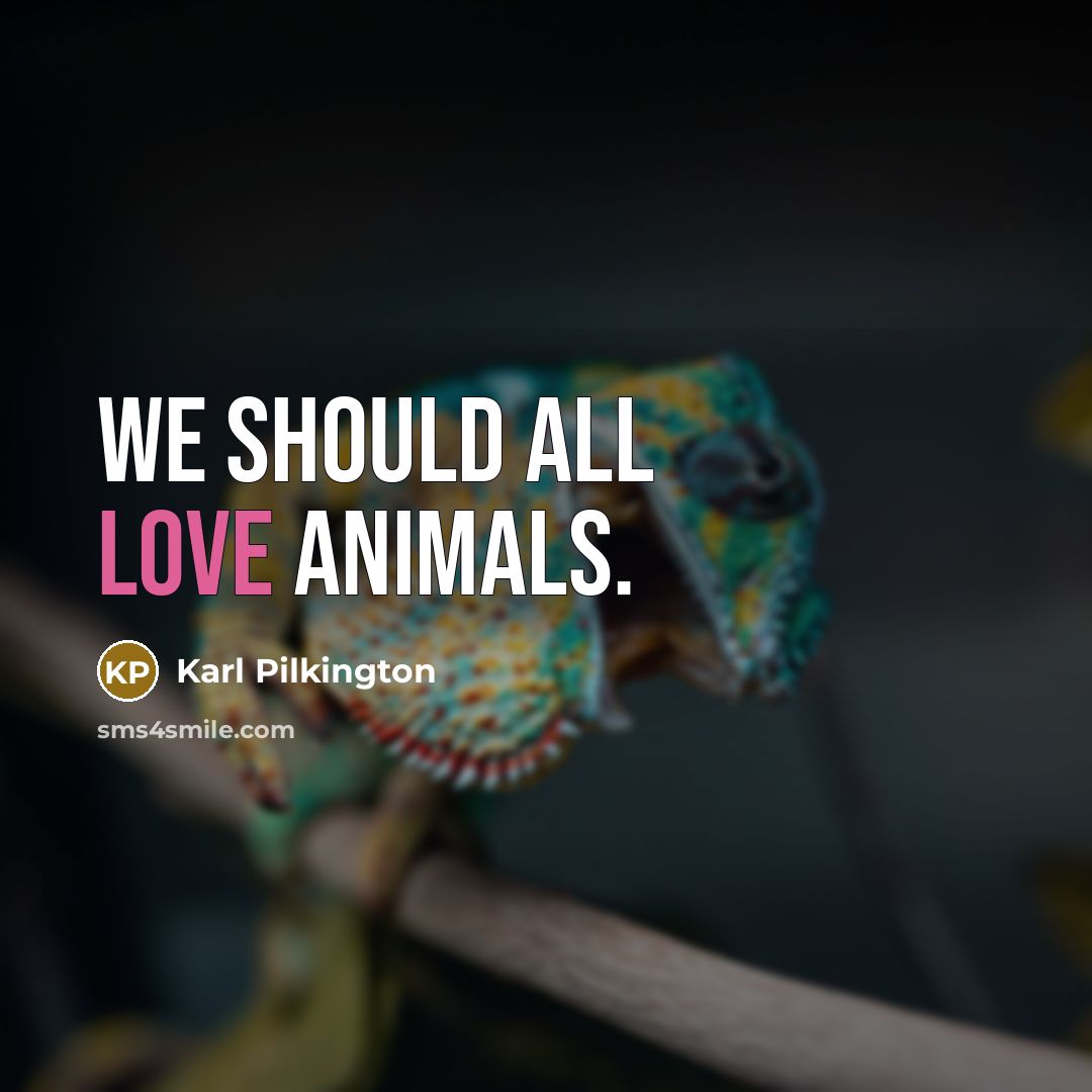 “We should all love animals.” quote by Karl Pilkington