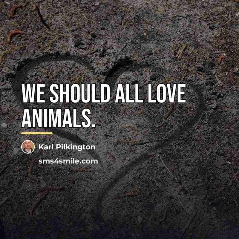 “We should all love animals.…” quote by Karl Pilkington