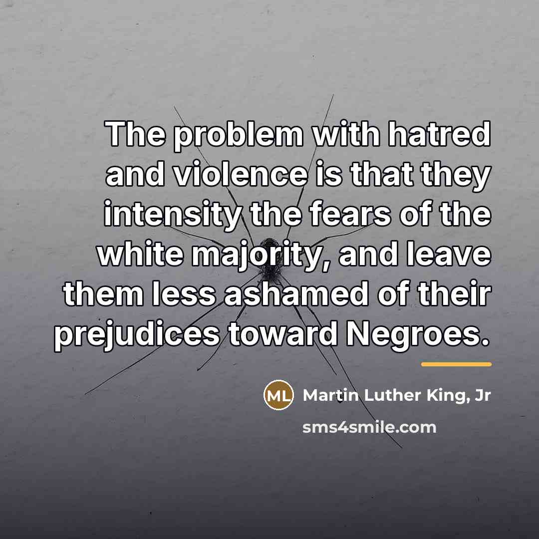 “The problem with hatred and violence is that they intensity…” quote by Martin Luther King, Jr