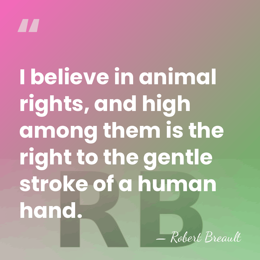 I believe in animal rights, and high among them is the right&hellip; - Robert Breault