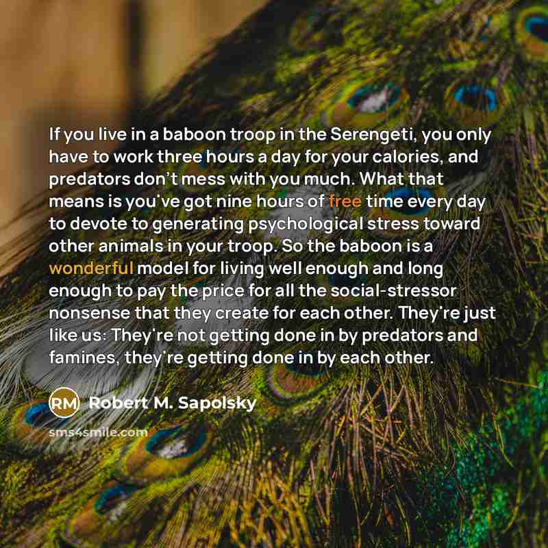 “If you live in a baboon troop in the Serengeti,…” quote by Robert M. Sapolsky