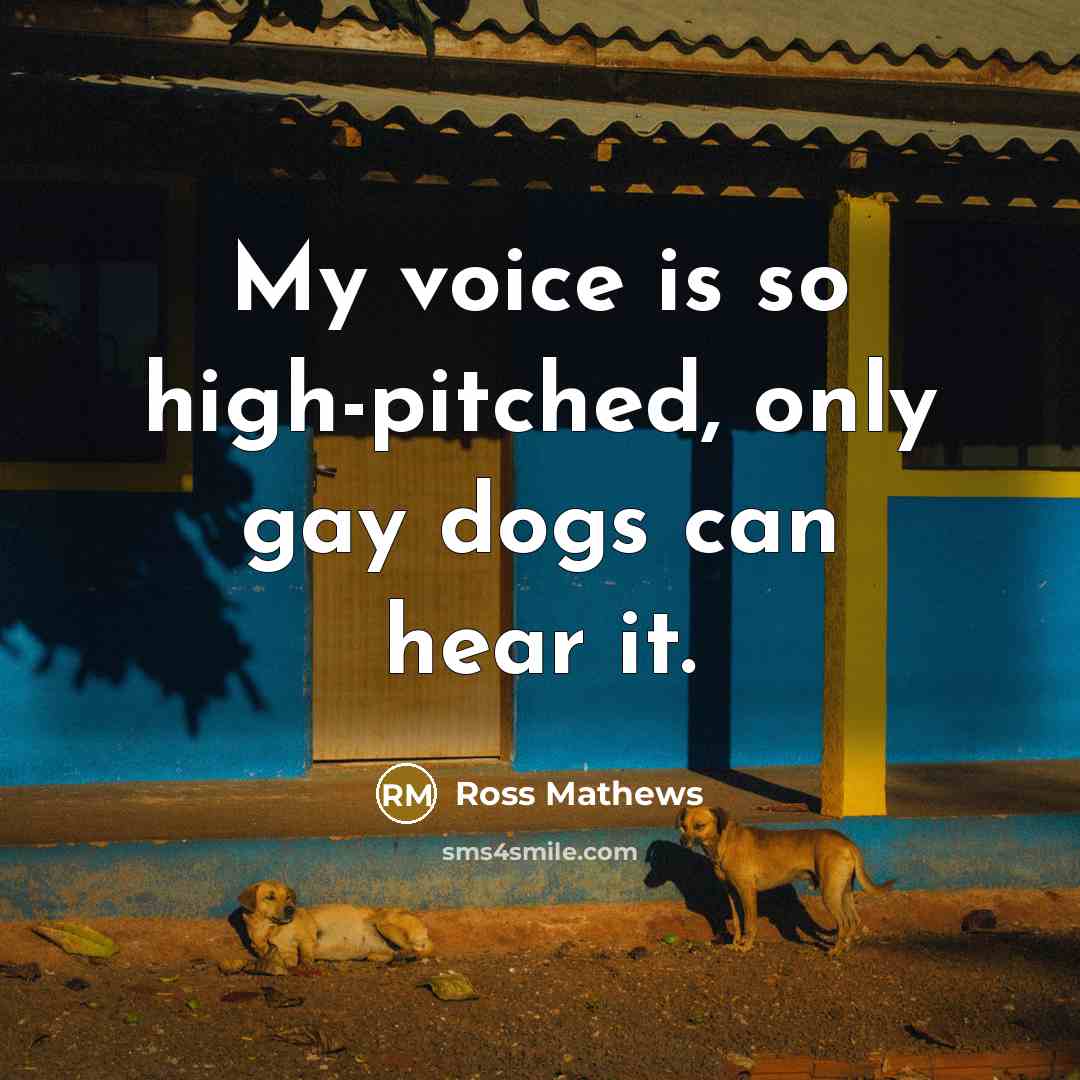 “My voice is so high-pitched, only gay dogs can hear…” quote by Ross Mathews