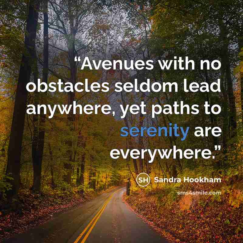 “Avenues with no obstacles seldom lead anywhere, yet paths to serenity are everywhere.” quote by Sandra Hookham