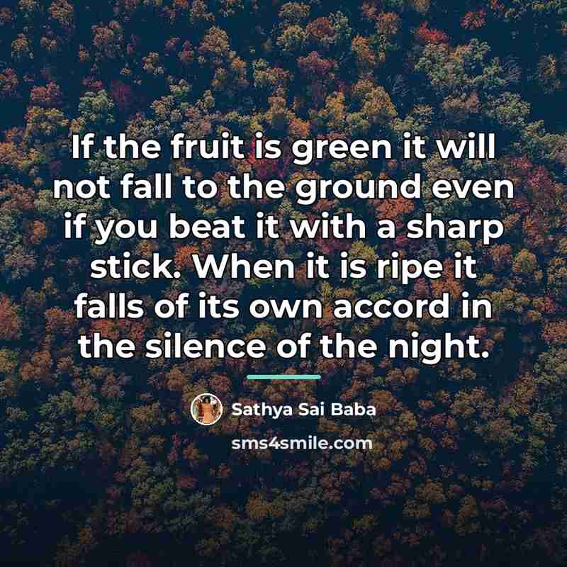 “If the fruit is green it will not fall to…” quote by Sathya Sai Baba