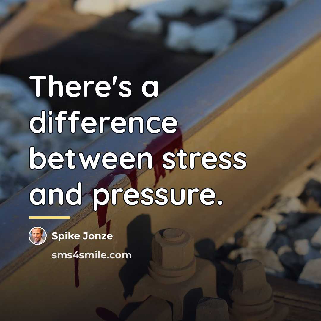 “There's a difference between stress and pressure.…” quote by Spike Jonze