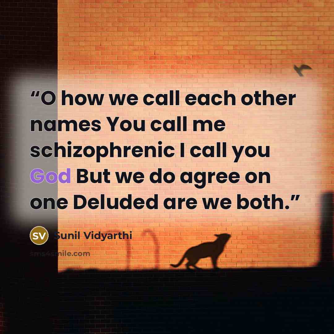 “O how we call each other names You call me schizophrenic I call you God But we do agree on one Deluded are we both.” quote by Sunil Vidyarthi