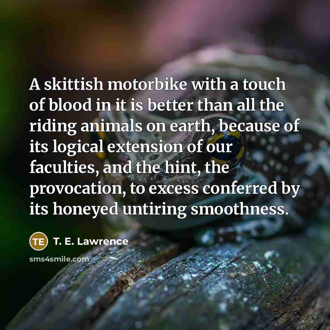 “A skittish motorbike with a touch of blood in it…” quote by T. E. Lawrence