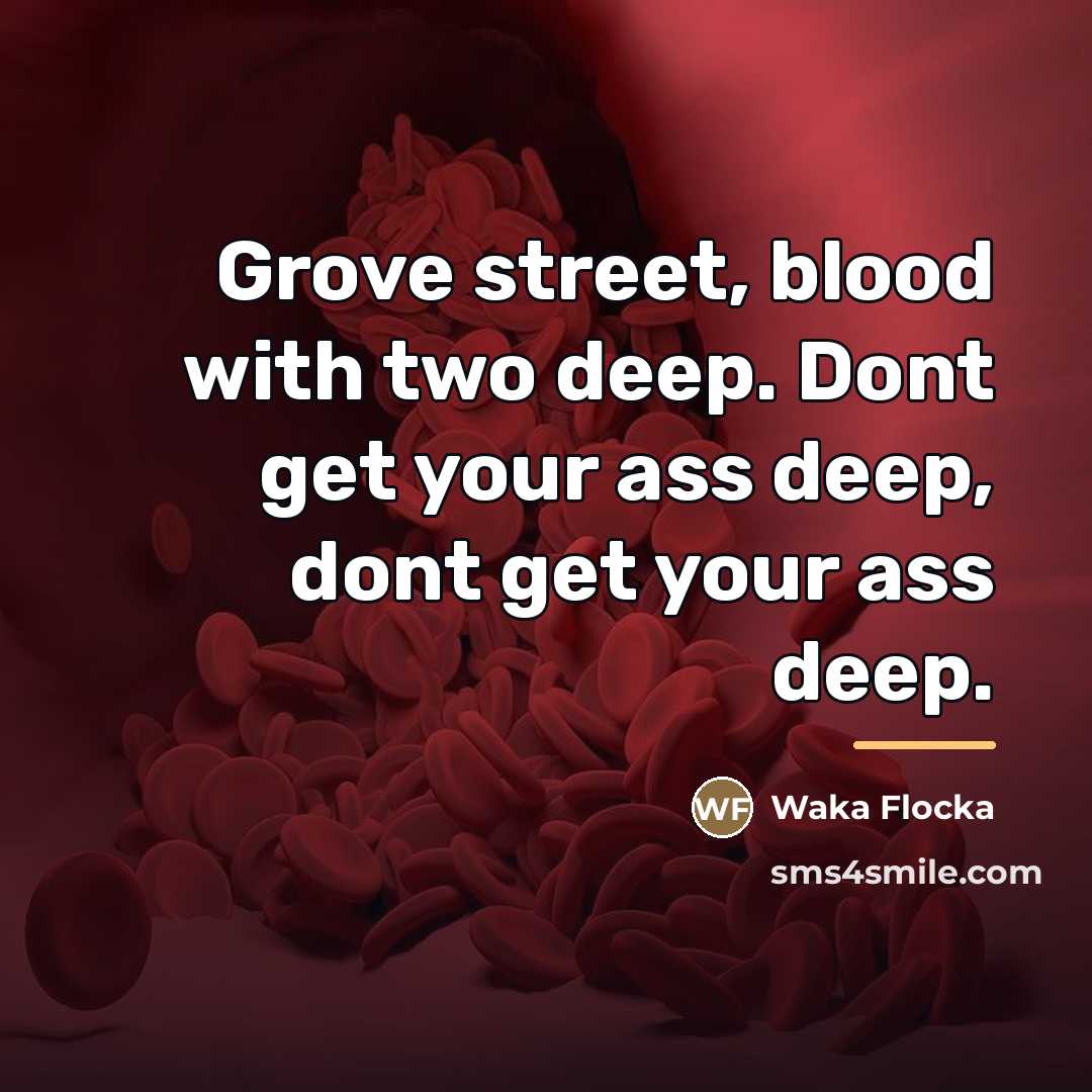 “Grove street, blood with two deep. Dont get your ass…” quote by Waka Flocka