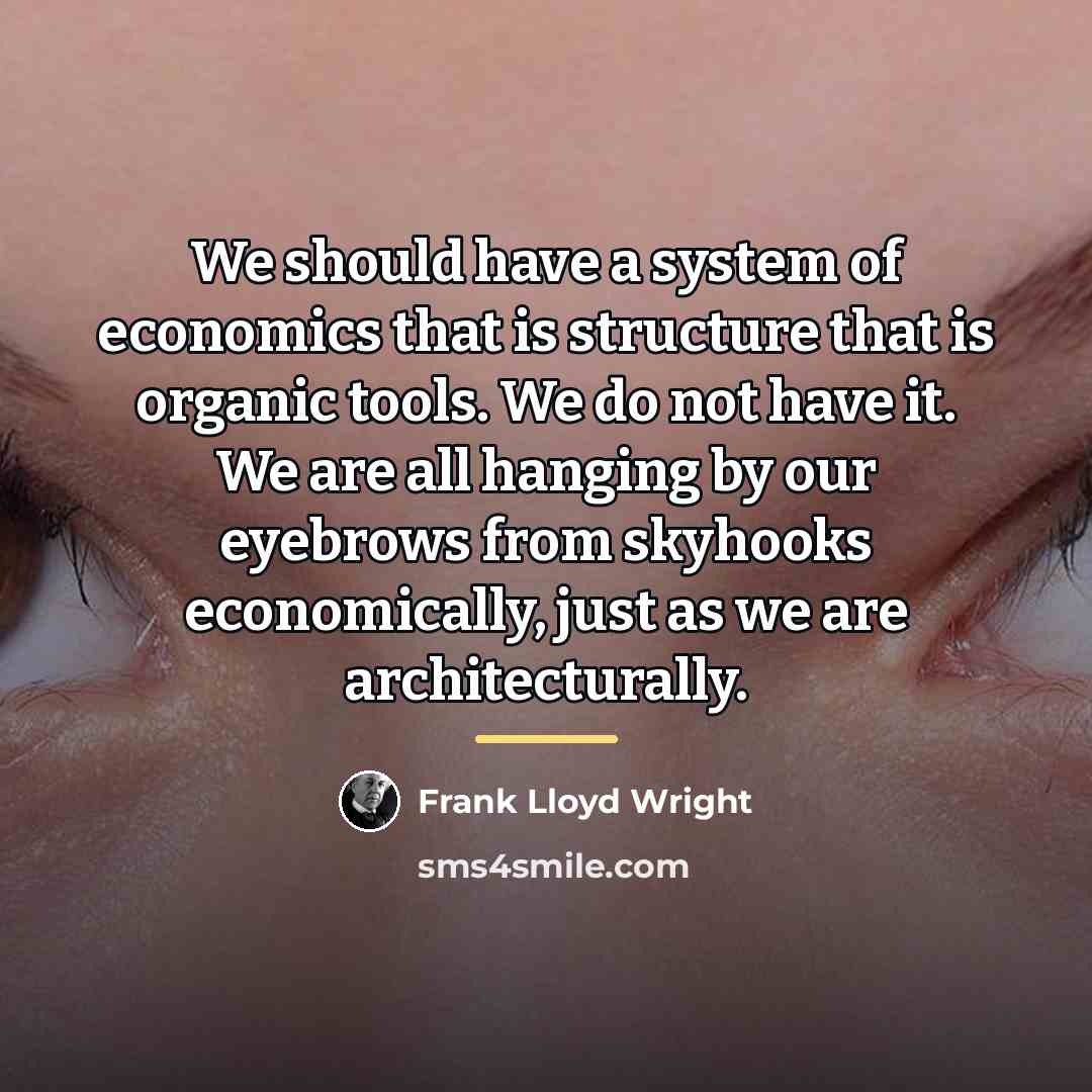 “We should have a system of economics that is structure…” quote by Frank Lloyd Wright