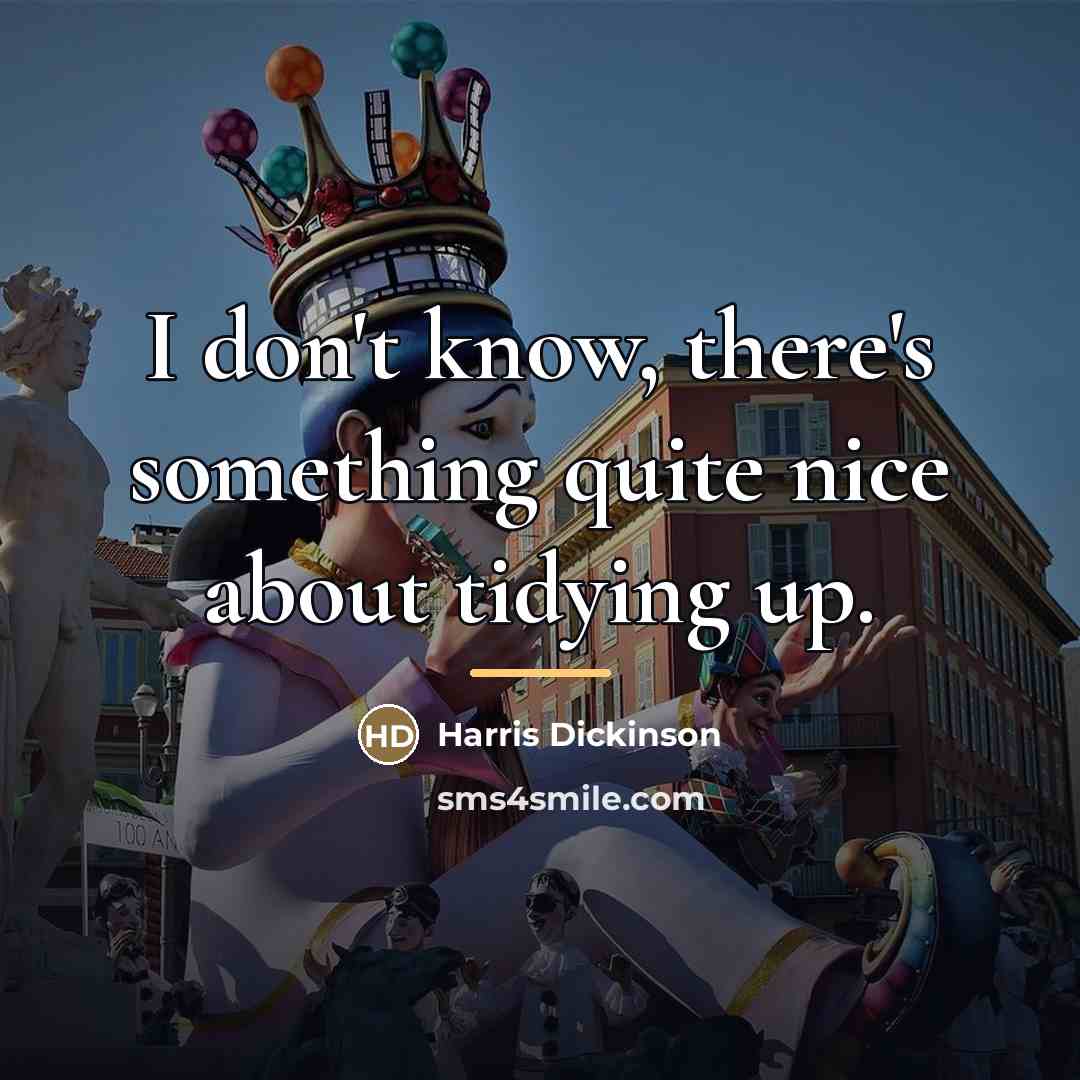 “I don't know, there's something quite nice about tidying up.…” quote by Harris Dickinson