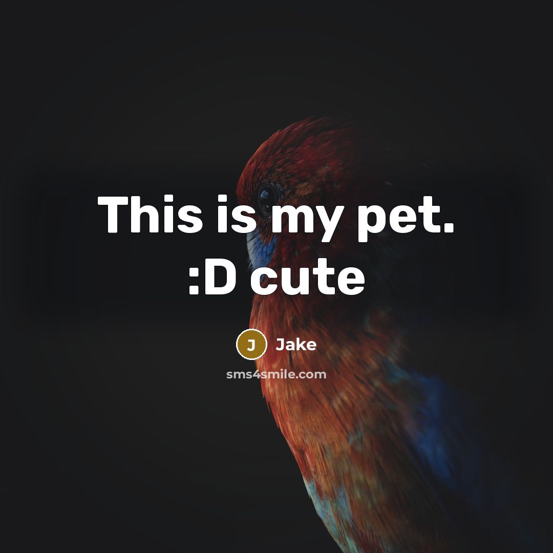 “This is my pet. :D cute” quote by Jake