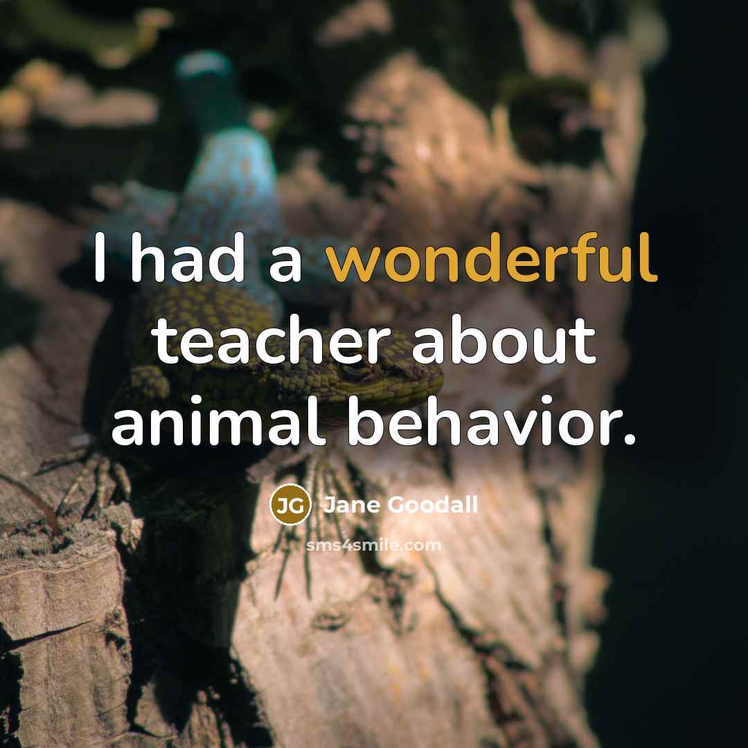 “I had a wonderful teacher about animal behavior.…” quote by Jane Goodall