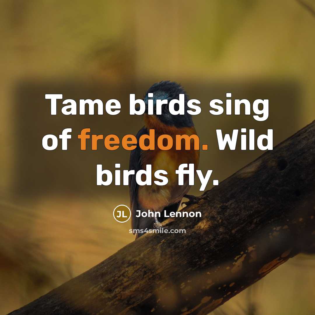 “Tame birds sing of freedom. Wild birds fly.…” quote by John Lennon