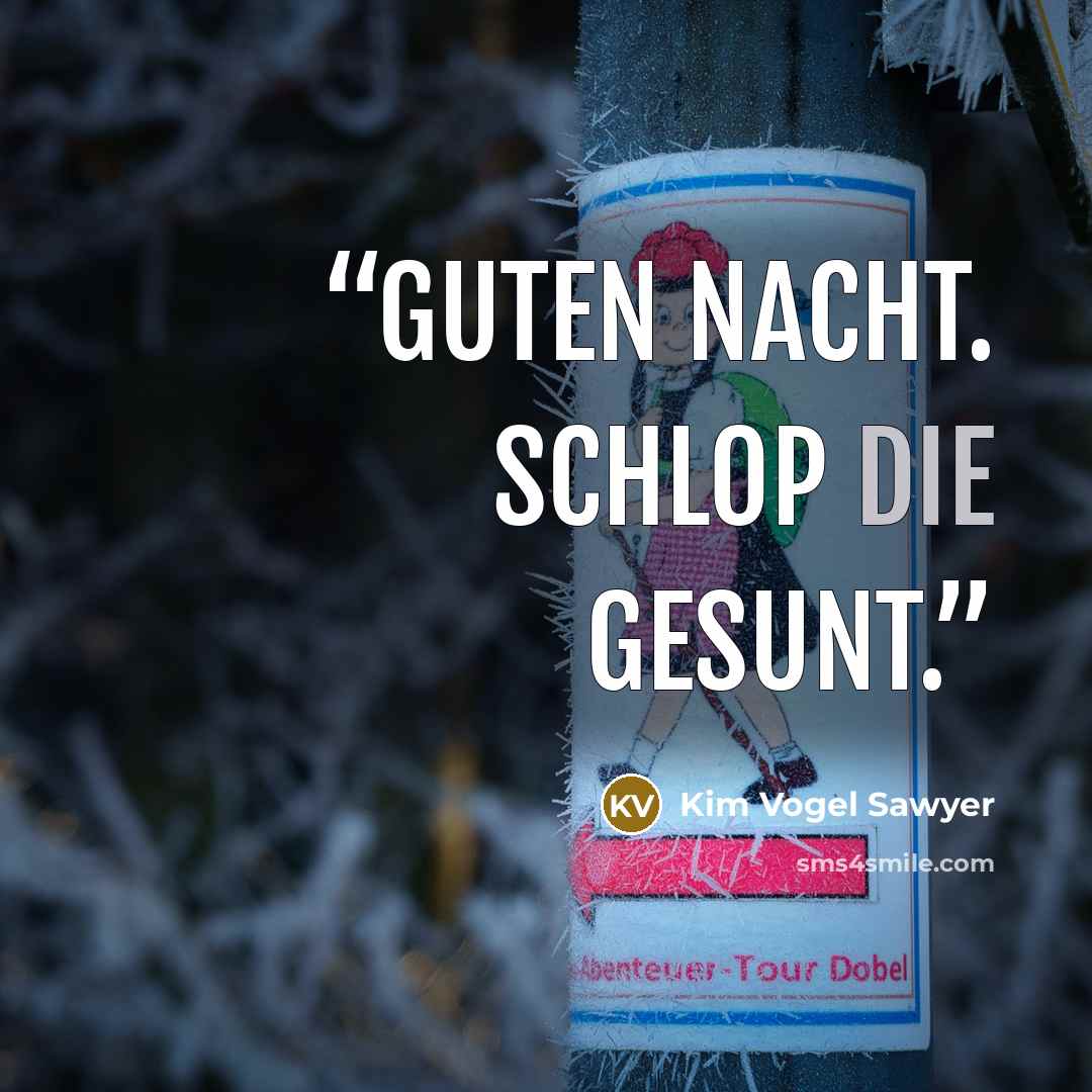 “Guten nacht. Schlop die gesunt.” quote by Kim Vogel Sawyer