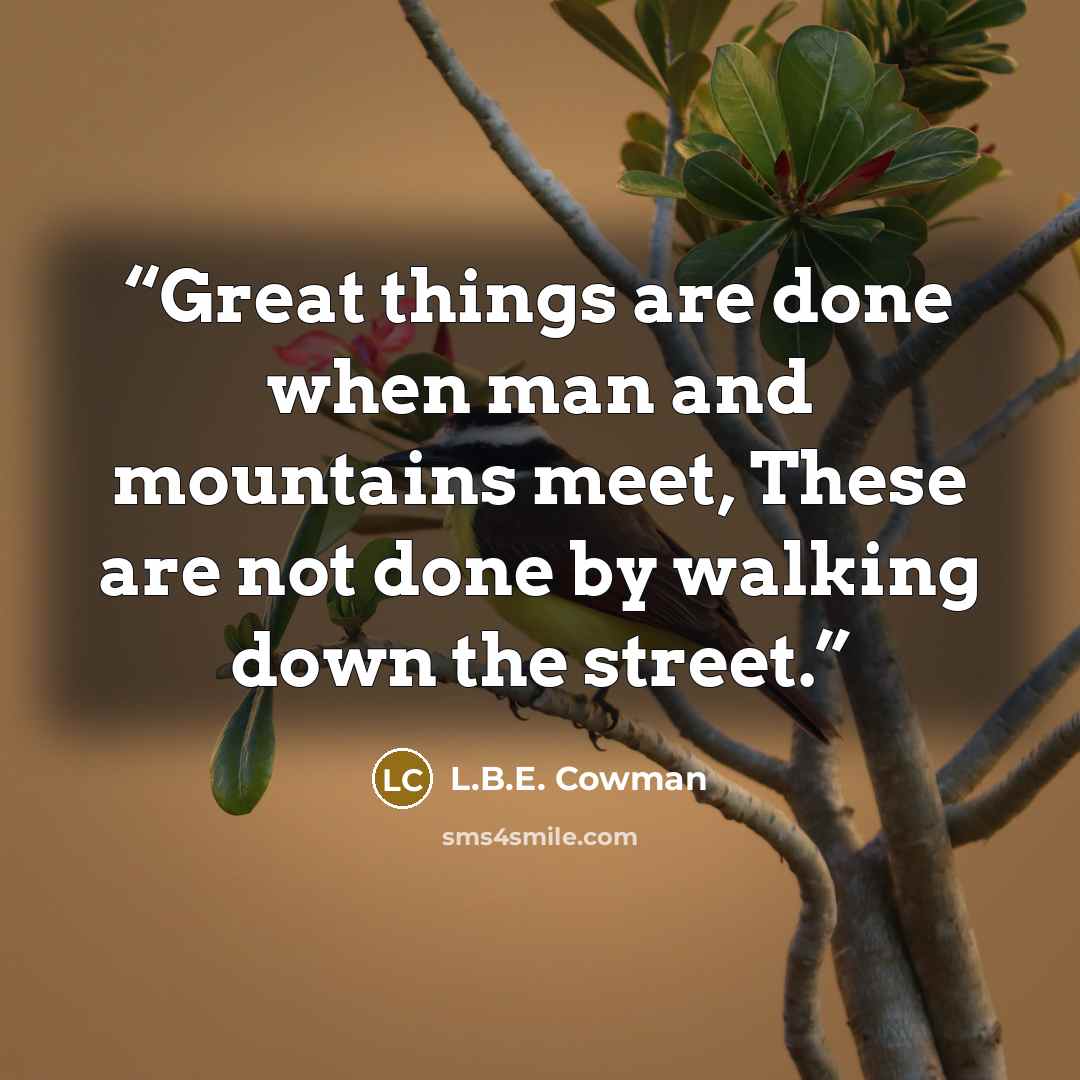 “Great things are done when man and mountains meet, These are not done by walking down the street.” quote by L.B.E. Cowman