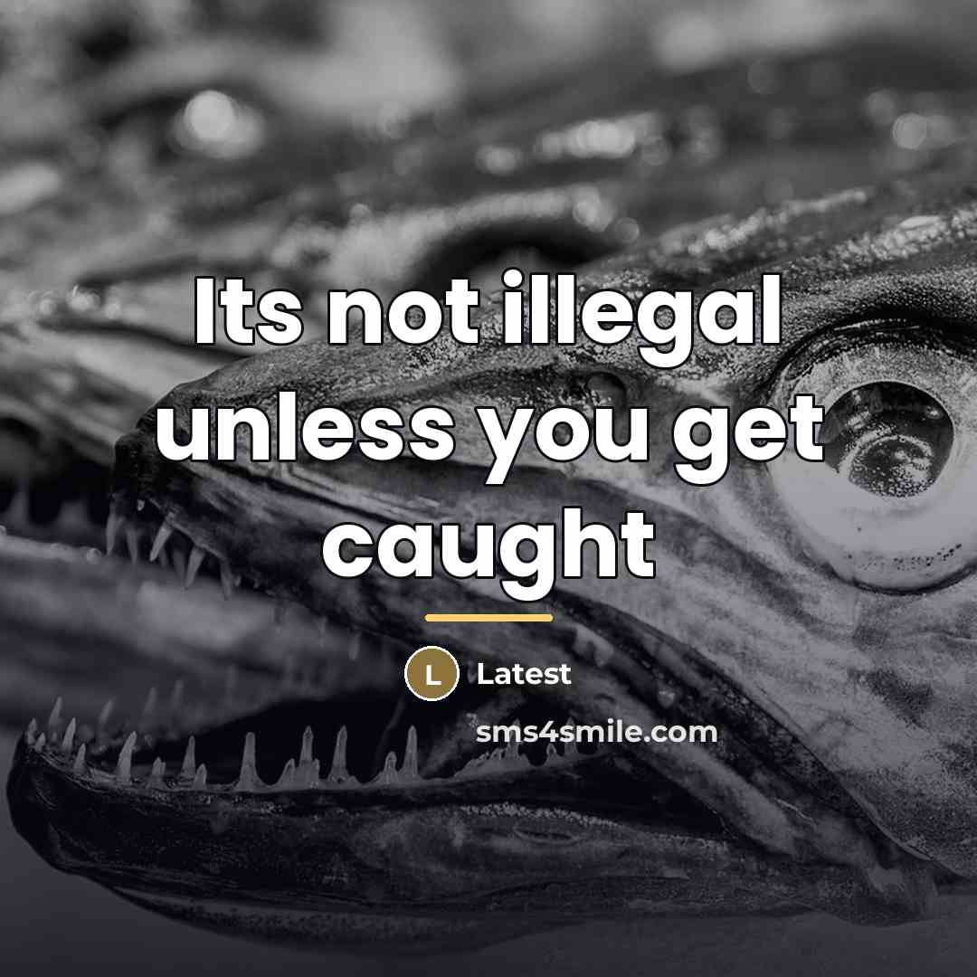 “Its not illegal unless you get caught…” quote by Latest
