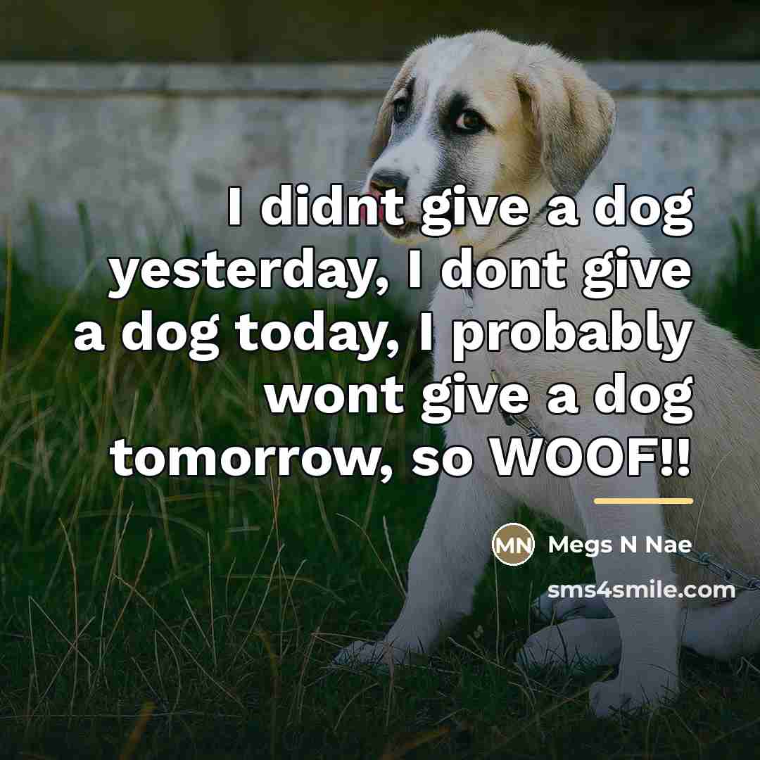 “I didnt give a dog yesterday, I dont give a…” quote by Megs N Nae