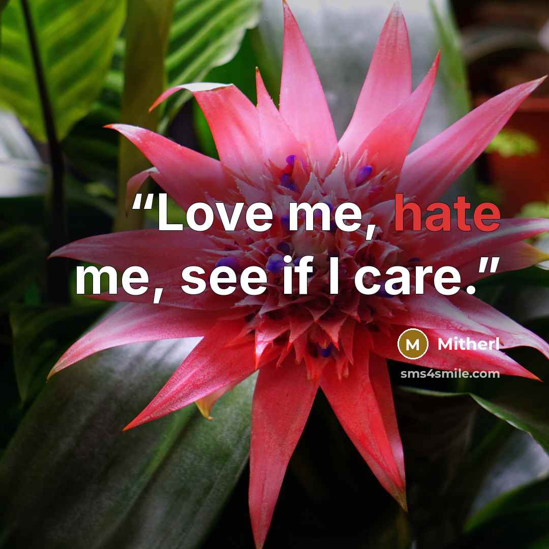 “Love me, hate me, see if I care.” quote by Mitherl