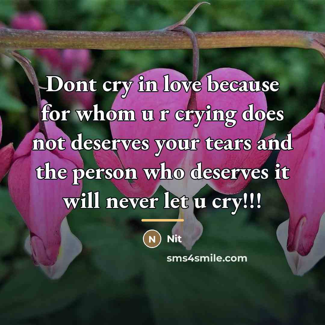 “Dont cry in love because for whom u r crying…” quote by Nit
