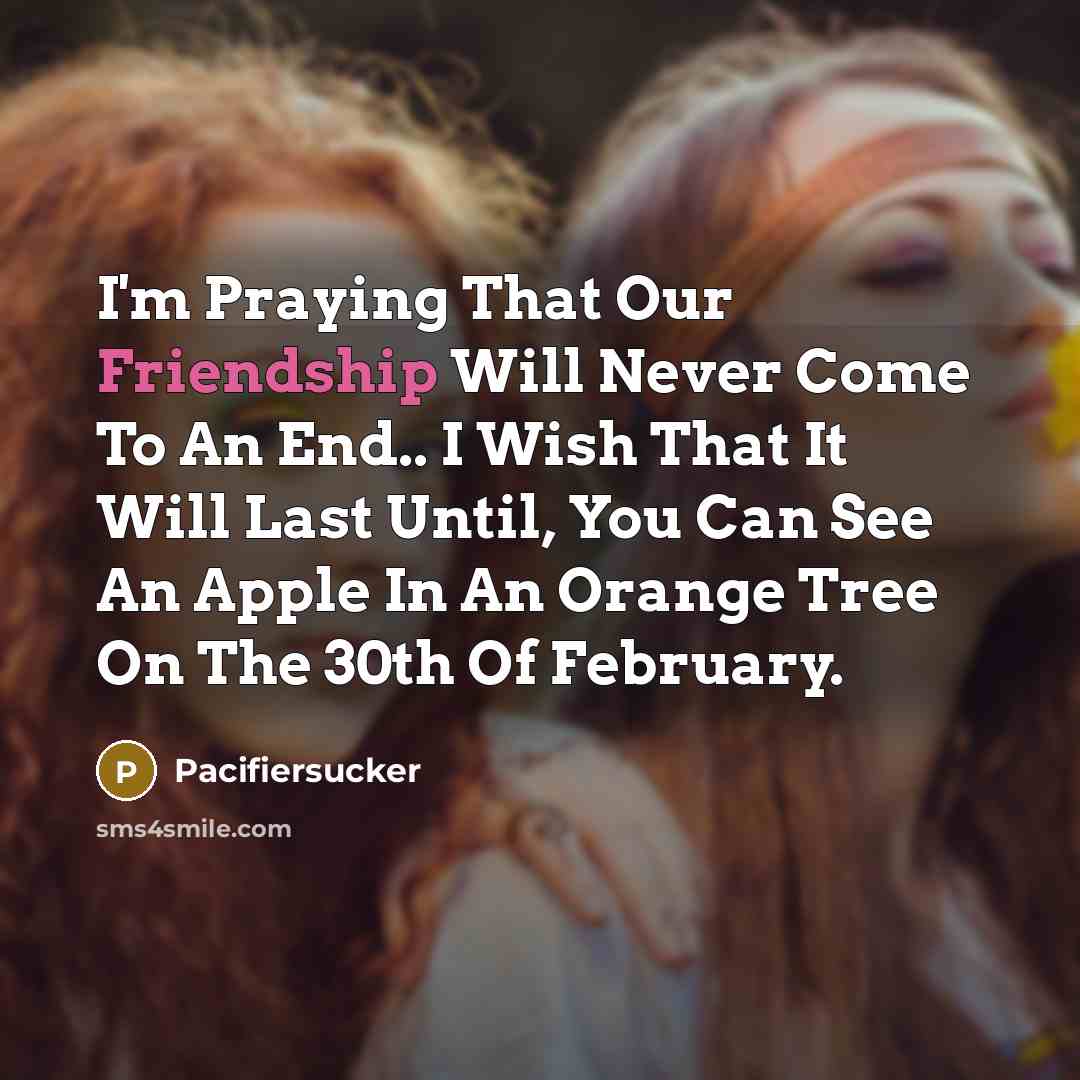 “I'm Praying That Our Friendship Will Never Come To An…” quote by Pacifiersucker