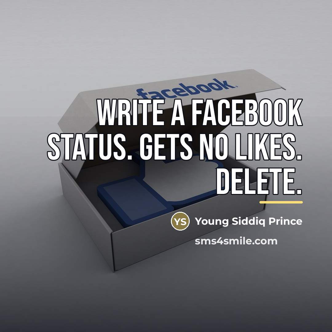 “Write a facebook status. Gets no likes. Delete.…” quote by Young Siddiq Prince