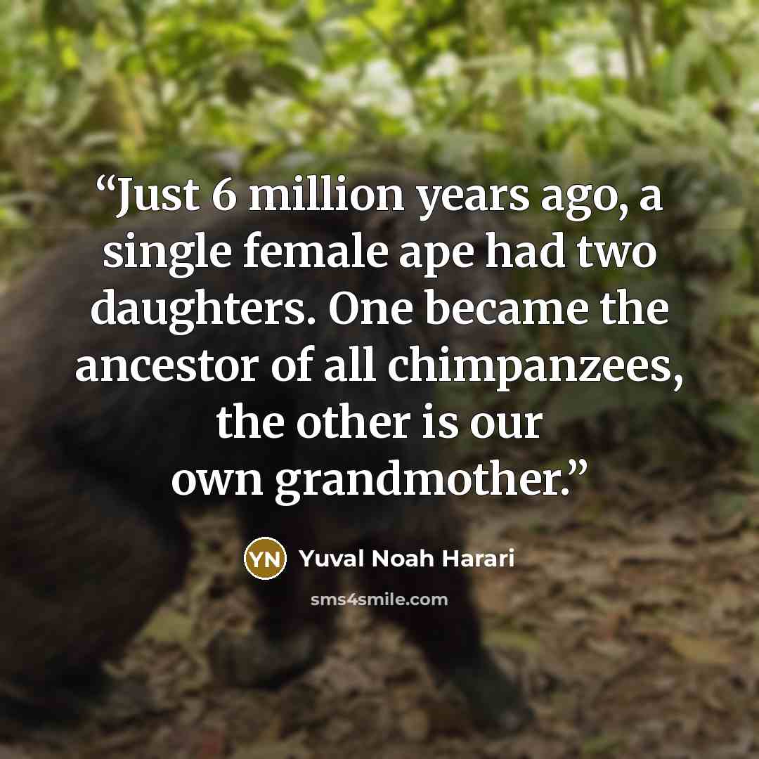 “Just 6 million years ago, a single female ape had two daughters. One became the ancestor of all chimpanzees, the other is our own grandmother.” quote by Yuval Noah Harari