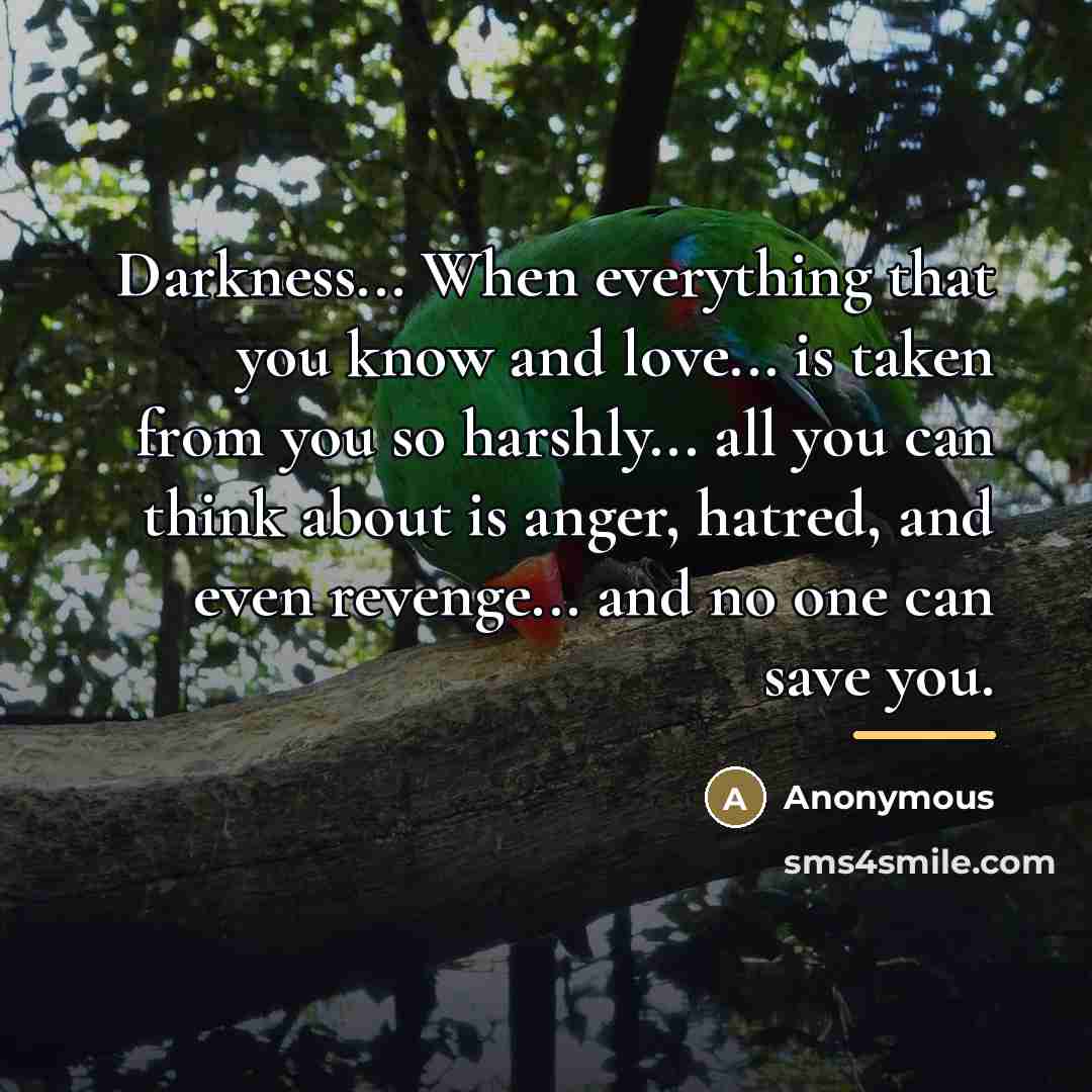 “Darkness... When everything that you know and love... is taken…” quote by Anonymous