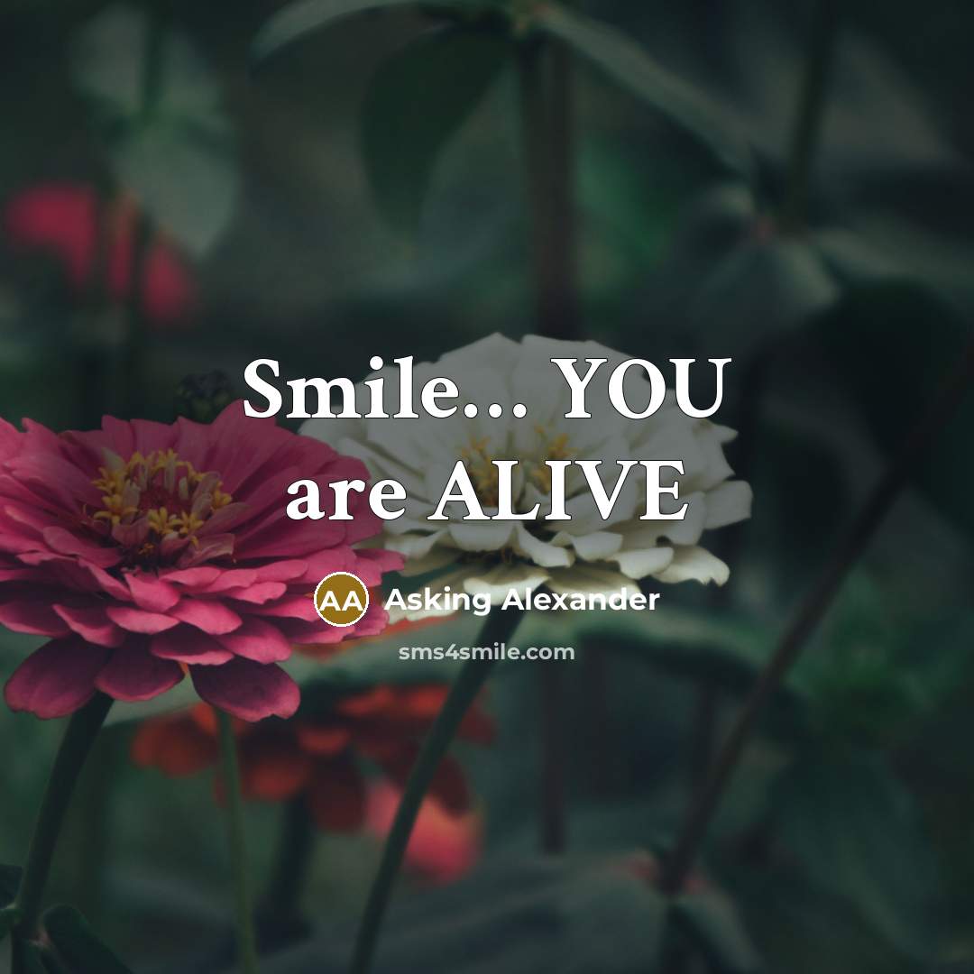 “Smile........ YOU are ALIVE…” quote by Asking Alexander