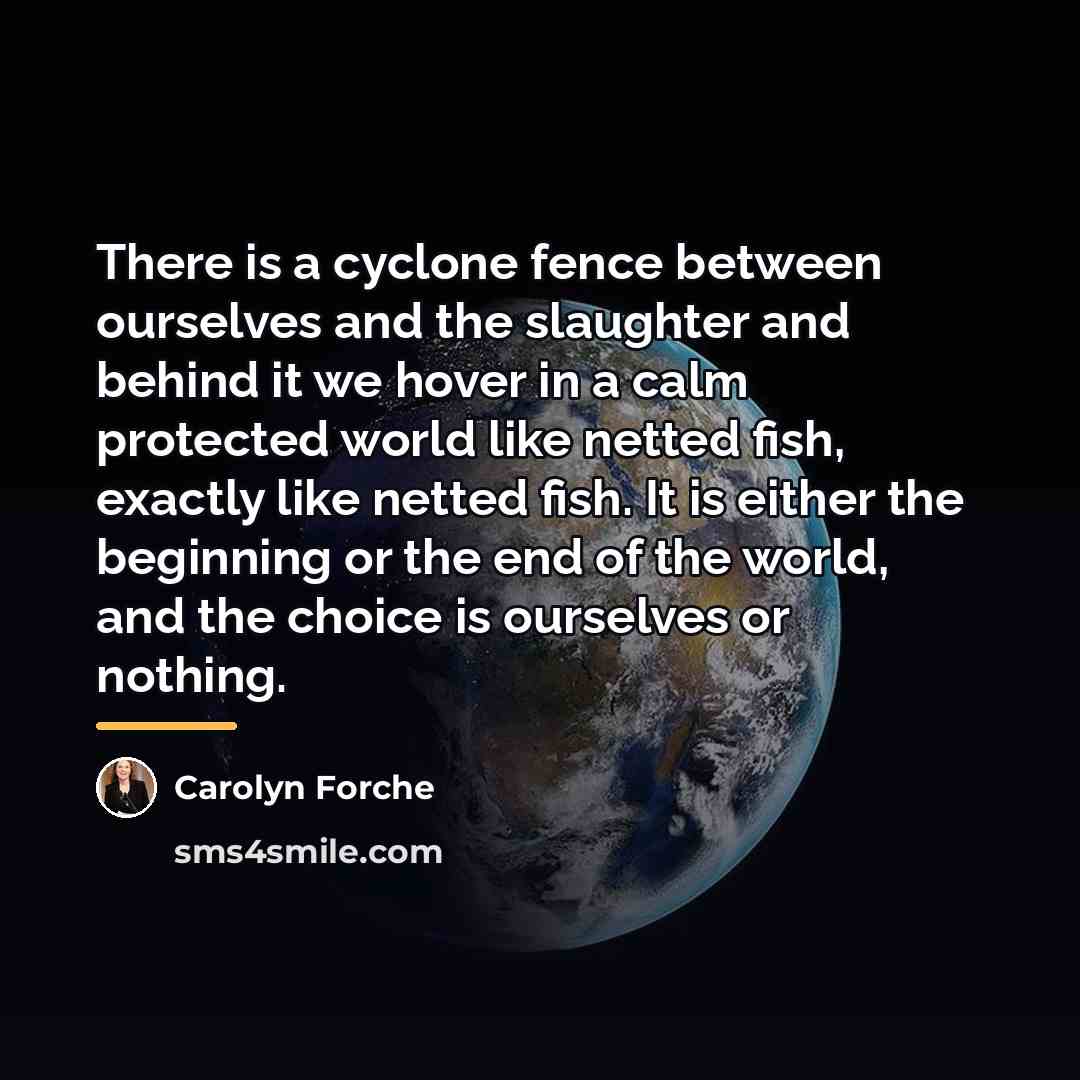 “There is a cyclone fence between ourselves and the slaughter…” quote by Carolyn Forche