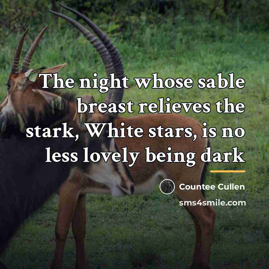 “The night whose sable breast relieves the stark, White stars,…” quote by Countee Cullen