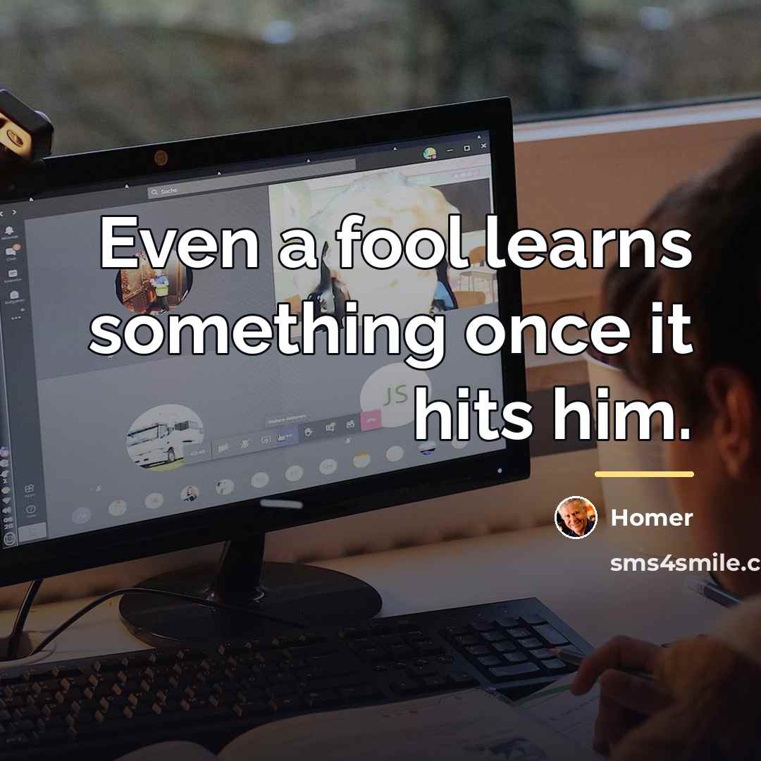 “Even a fool learns something once it hits him.…” quote by Homer