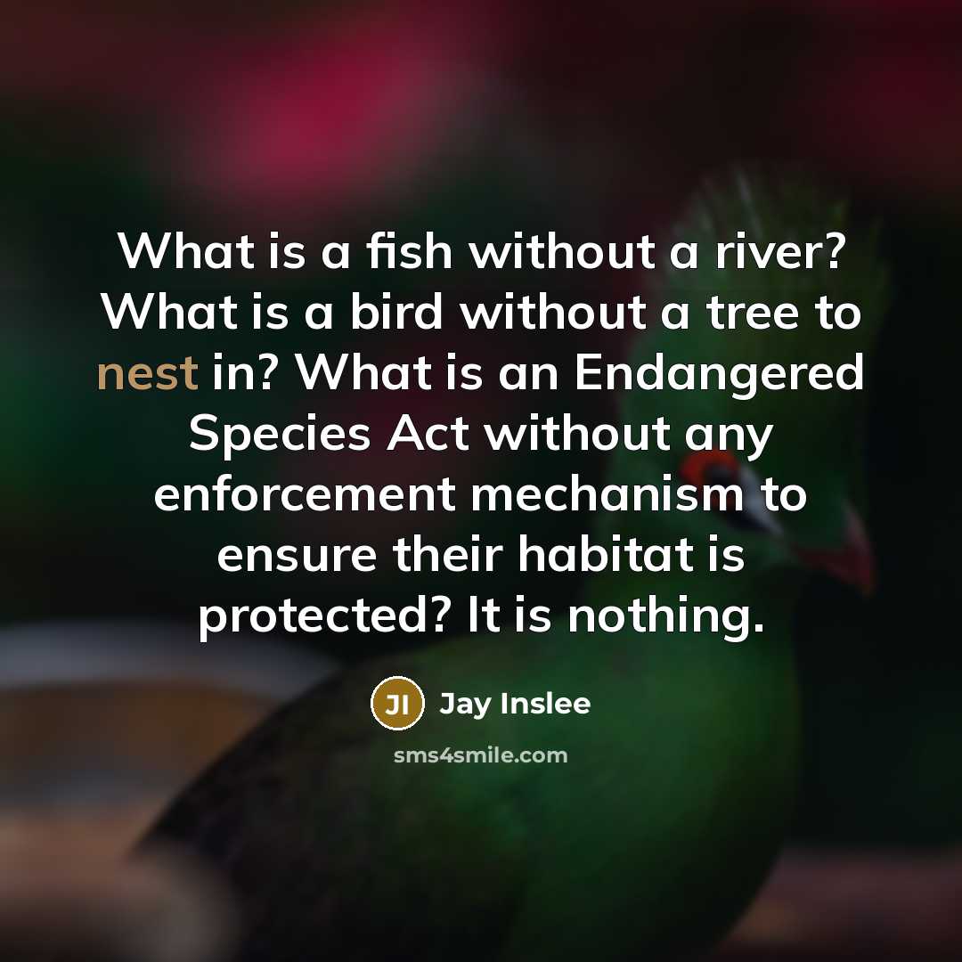 “What is a fish without a river? What is a…” quote by Jay Inslee