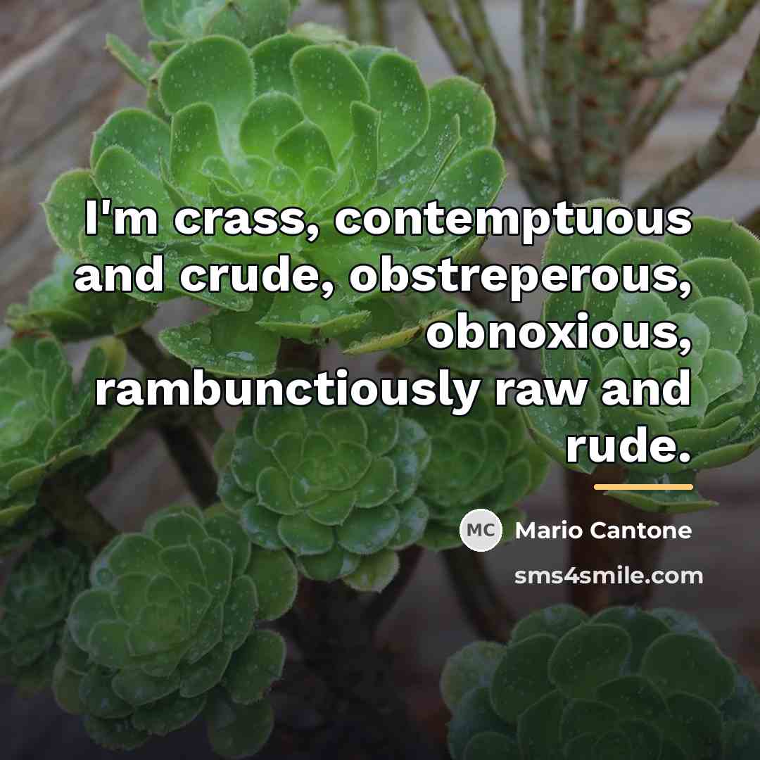 “I'm crass, contemptuous and crude, obstreperous, obnoxious, rambunctiously raw and…” quote by Mario Cantone