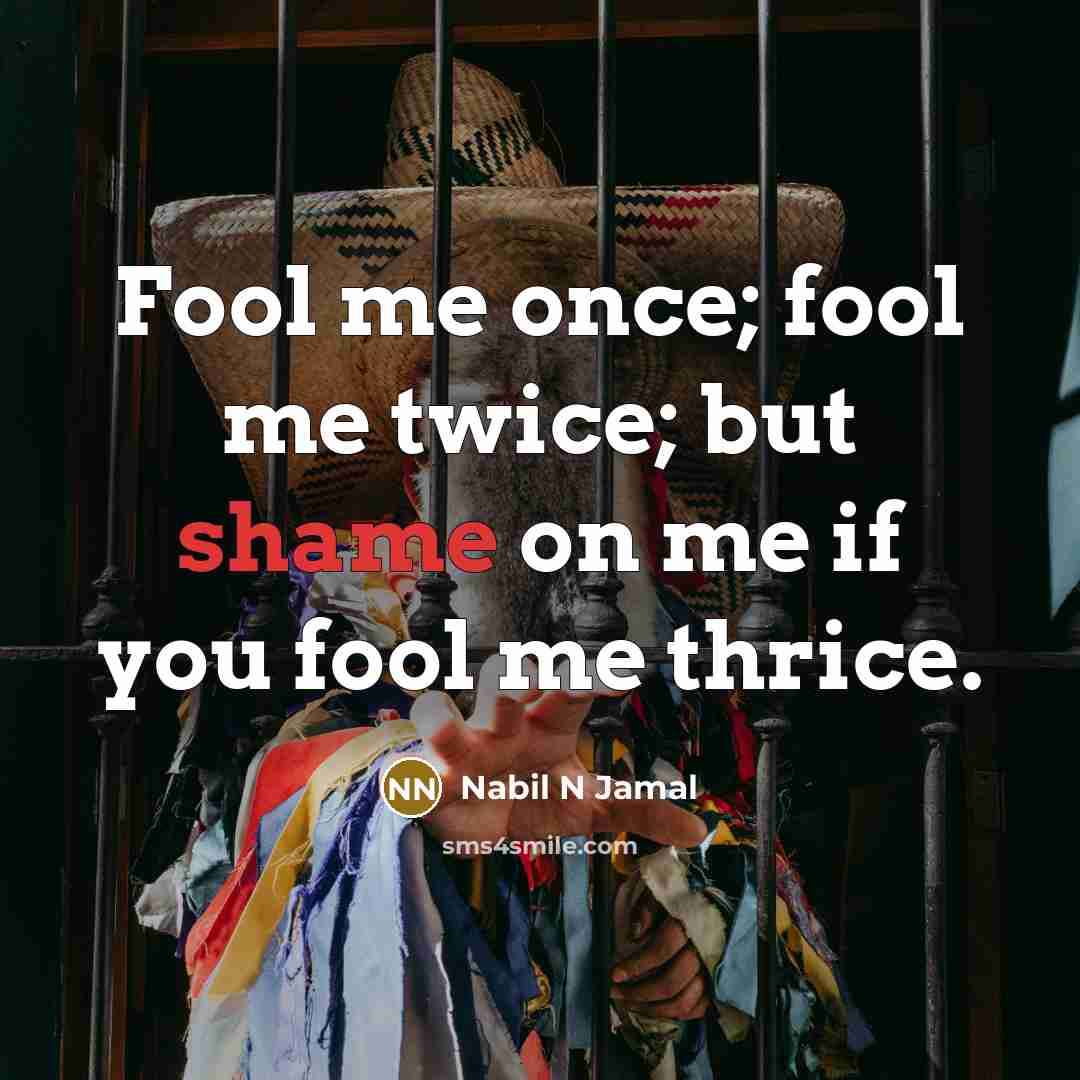 “Fool me once; fool me twice; but shame on me…” quote by Nabil N Jamal