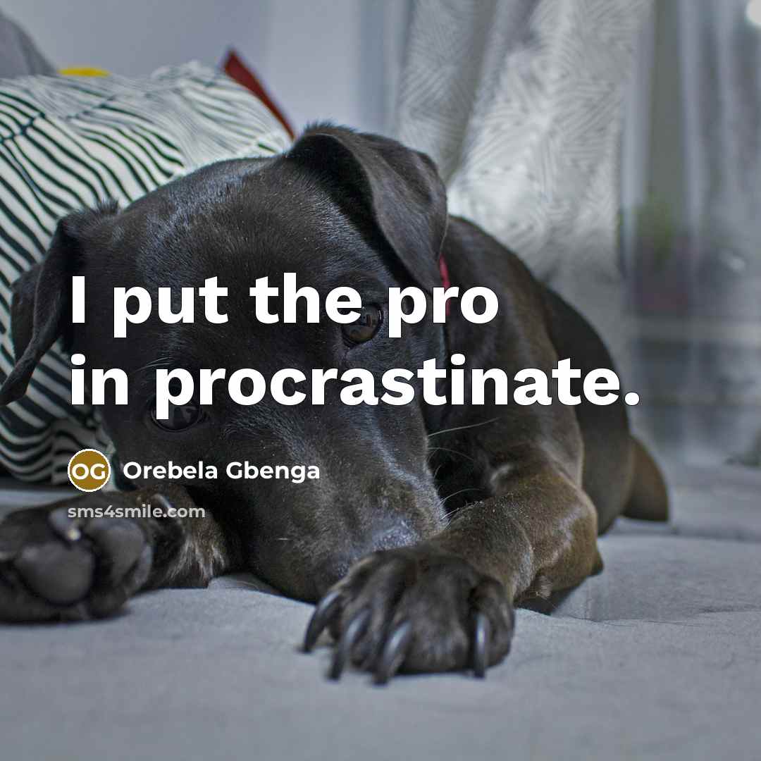 “I put the pro in procrastinate.…” quote by Orebela Gbenga