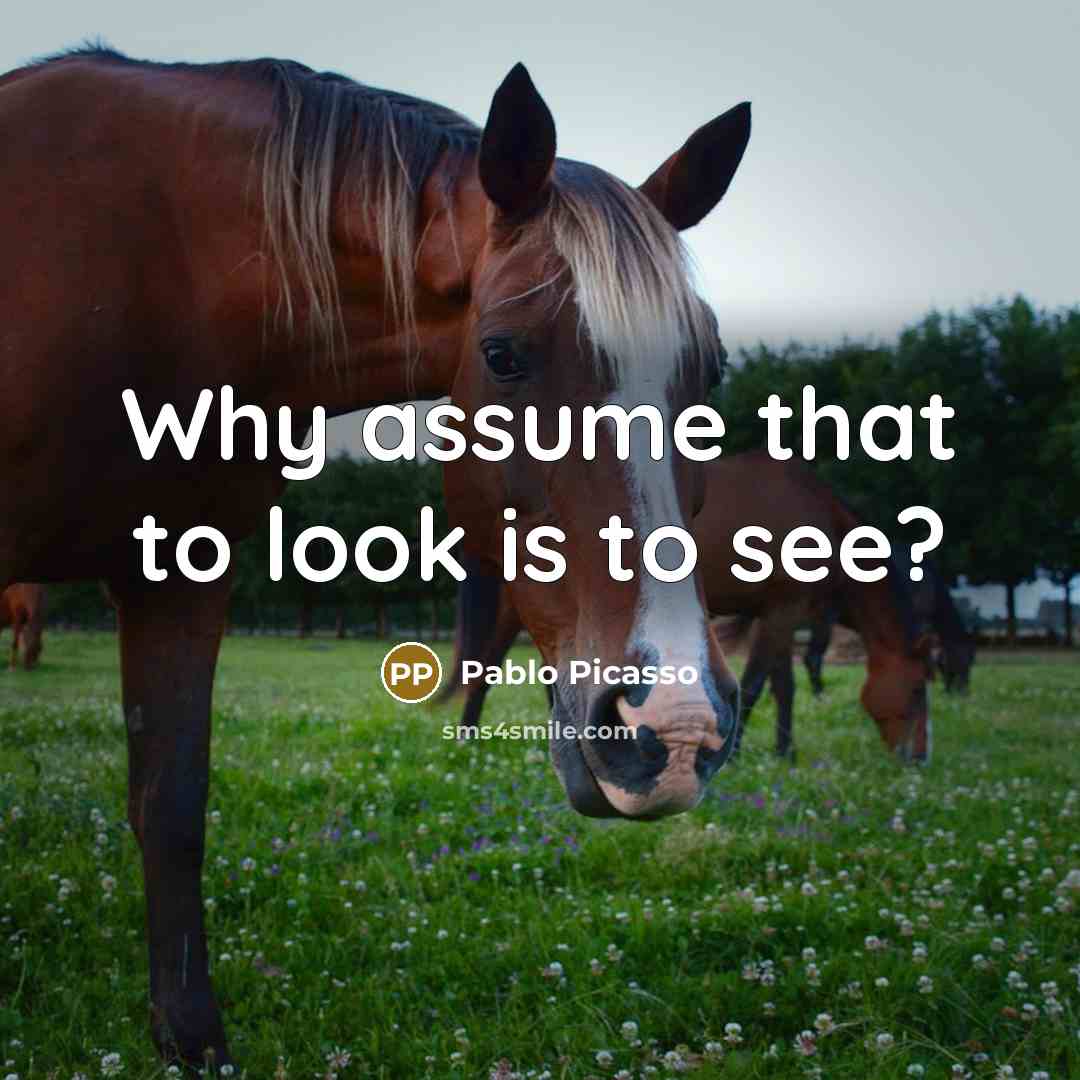 “Why assume that to look is to see?” quote by Pablo Picasso